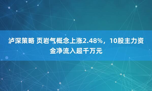 泸深策略 页岩气概念上涨2.48%，10股主力资金净流入超千万元