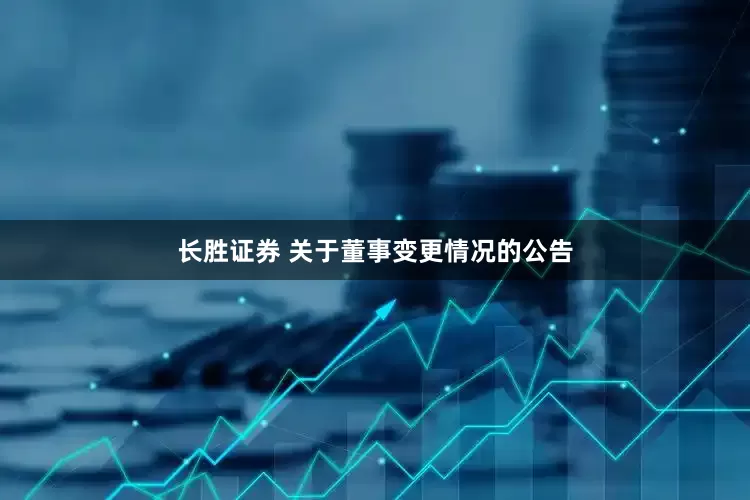长胜证券 关于董事变更情况的公告