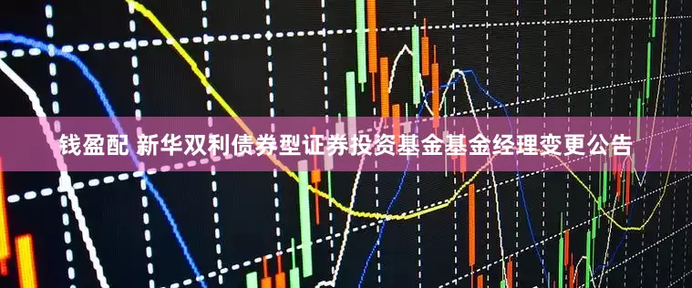 钱盈配 新华双利债券型证券投资基金基金经理变更公告