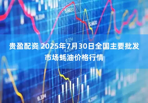 贵盈配资 2025年7月30日全国主要批发市场蚝油价格行情