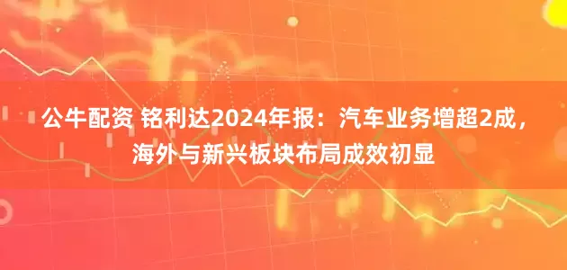 公牛配资 铭利达2024年报:汽车业务增超2成,海外与新兴板块布局成效初显