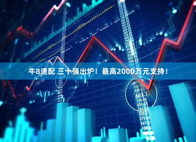 牛8速配 三十强出炉!最高2000万元支持!