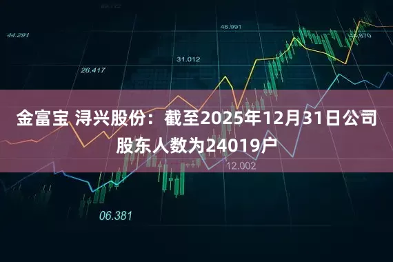 金富宝 浔兴股份：截至2025年12月31日公司股东人数为24019户